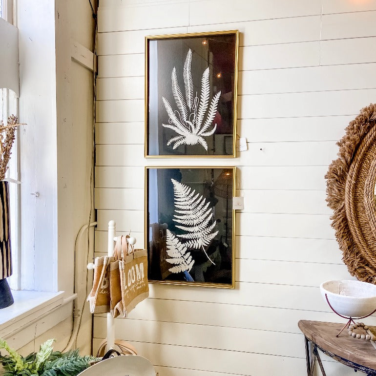 framed black and white fern prints | botanical prints | botanical art | farmhouse wall art and decor | shop a dash of casual furniture, home décor, kitchenware, gifts, and art online or in store | Located inside the Corner Cartel in Boerne | best boerne shops for home decor vintage items accessories and gifts