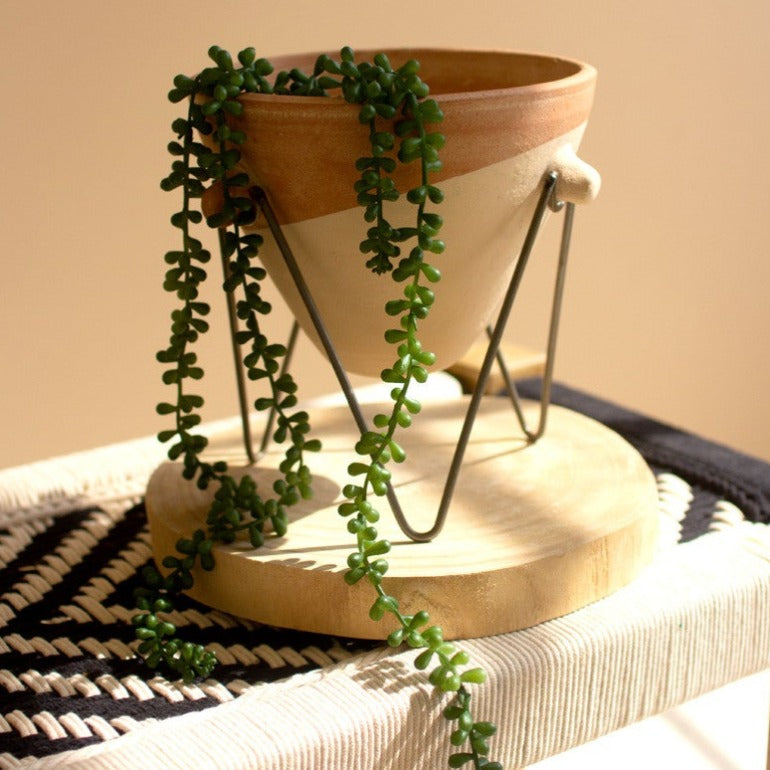 clay planter on stand