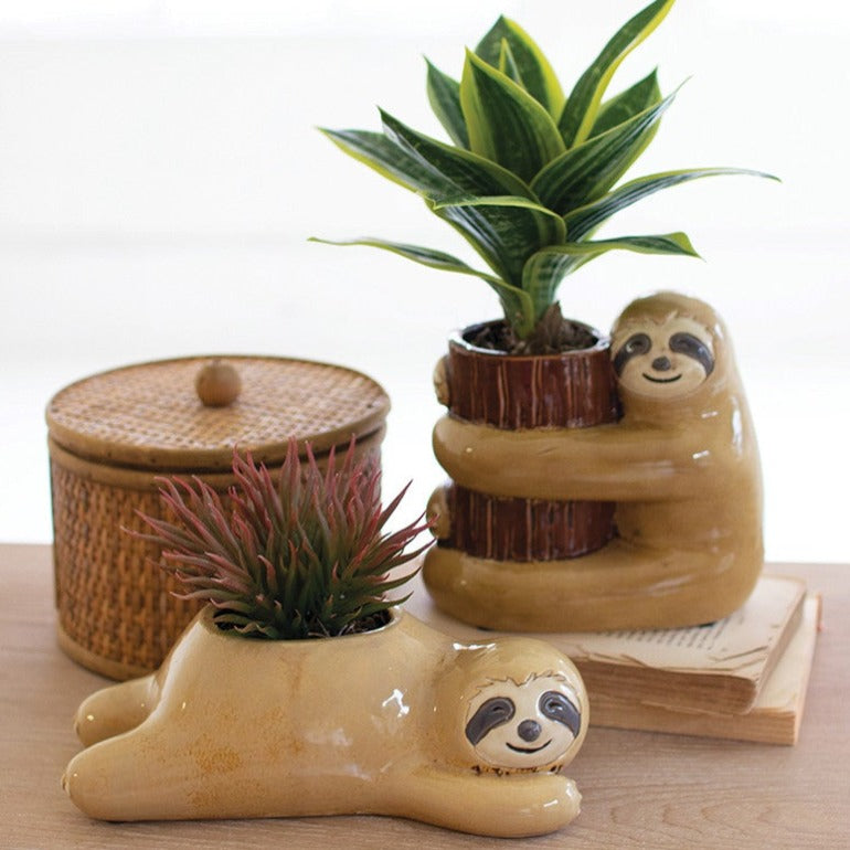 sloth gift