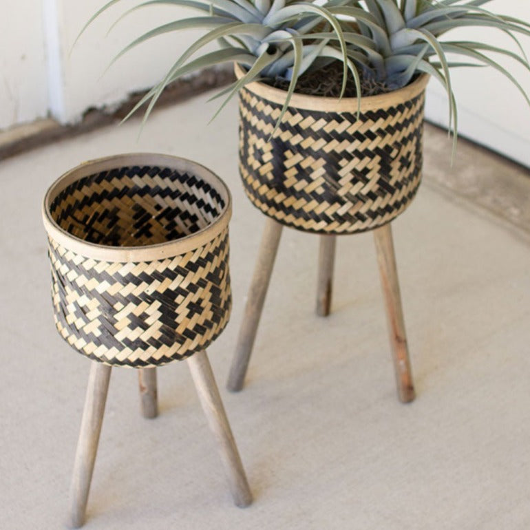 bamboo plants stands