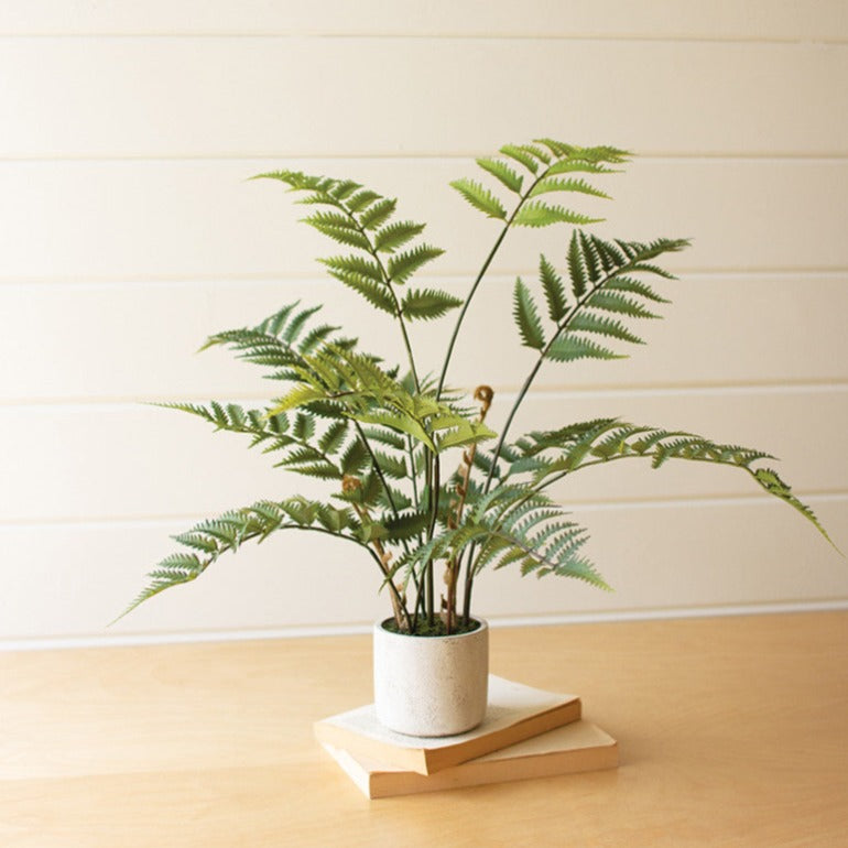 Artificial Fern, Potted Ferns, Faux Boston Fern, Artificial Fern in Cement Pot