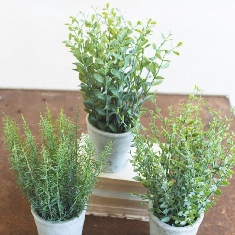 faux herbs in pots